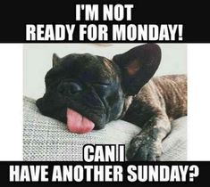 a dog laying on top of a couch with its tongue hanging out and the caption says, i'm not ready for monday can i have another sunday?