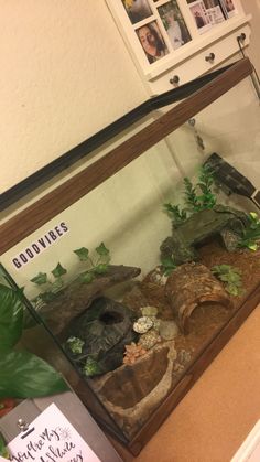 a fish tank with plants and rocks in it on a counter next to a sign