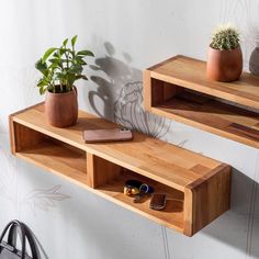 two wooden shelves with plants and shoes on them, one shelf is made out of wood