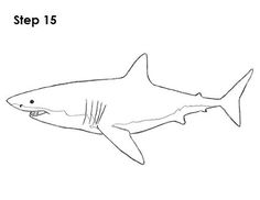 a drawing of a shark with the words step 15 on it's back side