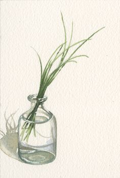 a watercolor painting of a glass vase with some grass in it, on a white background