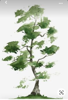 a watercolor painting of a tree with green leaves