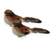 three birds sitting on top of each other with long beaks and brown feathers, facing opposite directions