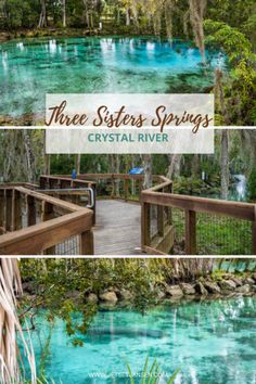 three sisters springs, crystal river and the blue lagoon in florida with text overlay