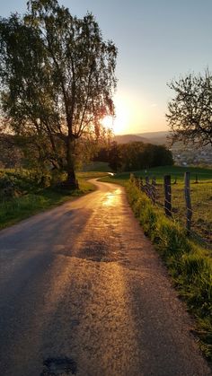 the sun is setting over a country road with trees on either side and a fence in the foreground