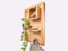 a wall mounted shelf with a plant and purse hanging on it