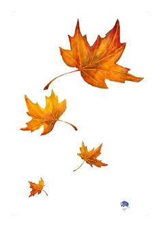 two orange leaves floating in the air