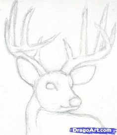 a drawing of a deer with antlers on it's head and the outline of its face