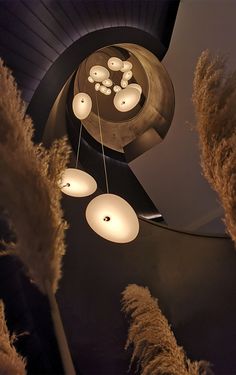 some white lights hanging from the ceiling in a room with pamodia plants and tall grass