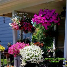 flowers are hanging from the side of a house