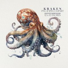 an octopus in watercolor with the words kraken on it