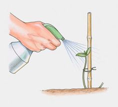 a person is watering the soil with a sprayer and a sprinkler