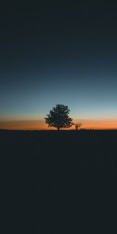 a lone tree is silhouetted against an orange and blue sky at sunset in the middle of nowhere