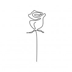 a single line drawing of a rose