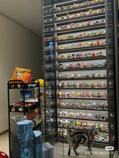 a display case filled with lots of toys