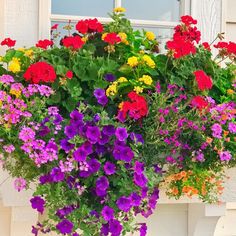 a window box filled with lots of colorful flowers