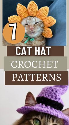 a cat wearing a crochet hat with the words, 7 cat hat crochet patterns