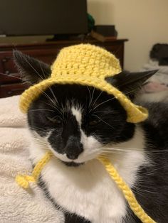 a black and white cat wearing a yellow hat