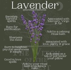 Calming Rituals, Medicinal Herbs Garden, Lavender Benefits, Magic Herbs, Herbal Healing, Home Health Remedies, Herbal Magic, Herbs For Health