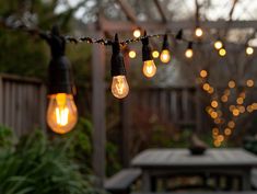 several light bulbs are hanging from a string in an outdoor area with trees and lights