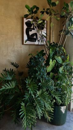 some plants are sitting on the floor in front of a wall with an art piece