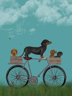 a dog riding on the back of a bike with three puppies sitting on it