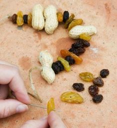 someone is using a pair of scissors to cut raisins into small pieces on the table