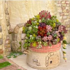 a potted plant with green and red flowers