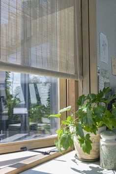 a window sill with some plants on it and a potted plant next to the window