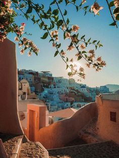 the sun shines brightly through the trees in front of some buildings with flowers growing on them