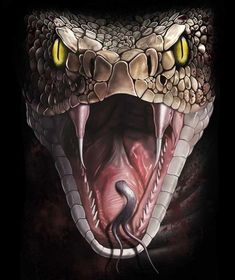 an image of a snake with its mouth open