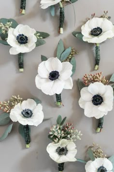 white flowers and greenery are arranged on a gray surface with green leaves in the middle