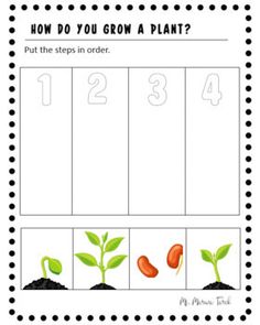 a printable activity sheet for growing seed plants with numbers on the front and bottom