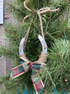 a christmas wreath hanging from the side of a tree