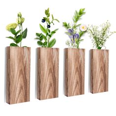 three wooden vases with plants in them on a white background, one is made out of wood and the other has flowers