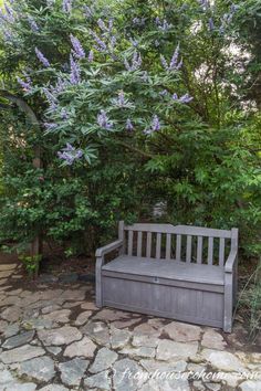 a bench sitting in the middle of a stone walkway next to trees and bushes with purple flowers on it