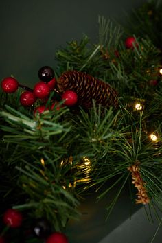 pine cones and berries are on the branches