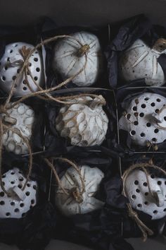 several white pumpkins are wrapped in twine