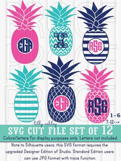 the svg cut file set of 12 pineapples with monogrammed letters