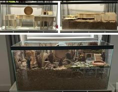 four different views of a fish tank with rocks and plants in it, including an aquarium