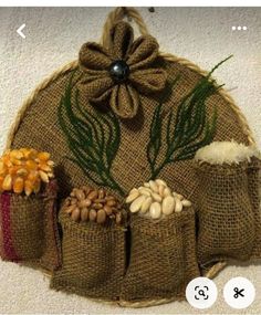 a burlap bag filled with different types of nuts and plants on top of a carpeted floor