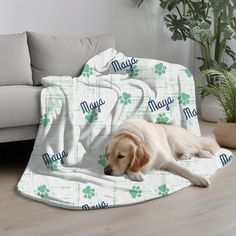 a dog laying on top of a couch under a blanket