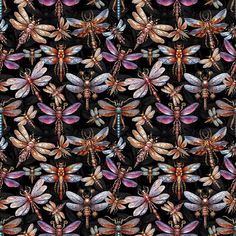 Dragonfly Jewel Fabric - ineedfabric.com Dragonfly Fabric, Butterfly Camouflage, Dickson Tennessee, Bobbin Storage, Art Supplies Bag, Floral Font, Iron Accessories, Quilting Frames, Embroidery Blanks