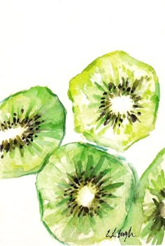 three slices of kiwi fruit are shown in this watercolor painting by artist elizabeth smith