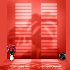 the shadow of a person standing in front of a red wall with flowers and a camera