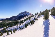 the sun shines brightly on a snow covered mountain slope with evergreen trees in the foreground