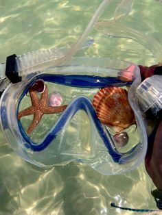 a person wearing a mask and snorkels with a starfish in the water