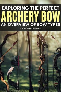 Archery Bow Types Bow Types, Bow Sights, Types Of Bows, Perfect Bow, Longbow