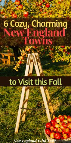 an apple tree with the title 6 cozy charming new england towns to visit this fall