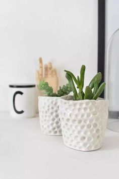 two white ceramic pots with succulents on a table next to a mirror